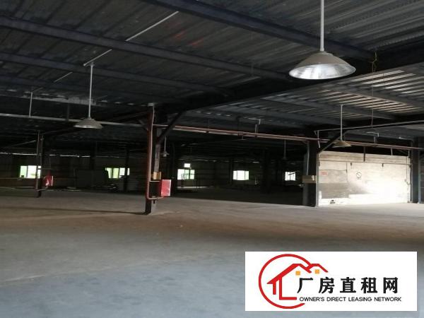  超长合同！可办环评！滴水9米8000平全新钢构厂房出租啦！