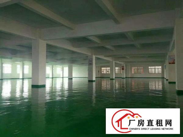  虎门大宁实业客转租楼上整层4300平豪华装修适合贸易生产