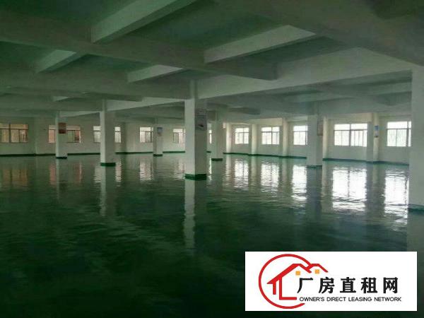  虎门大宁实业客转租楼上整层4300平豪华装修适合贸易生产