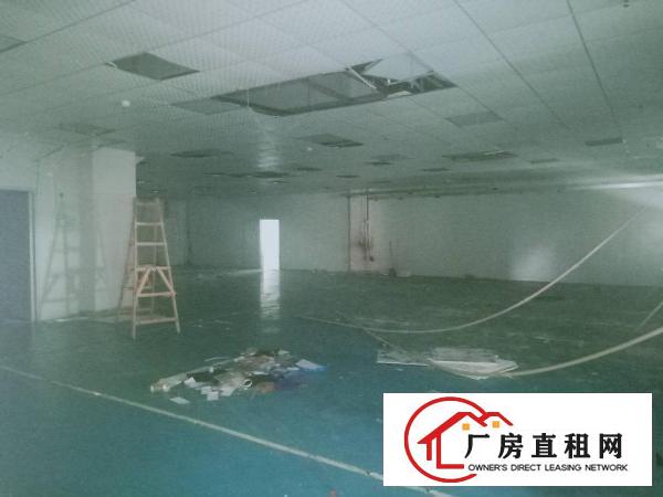  虎门靠近长安空出5楼1800平方实际面积厂房出租