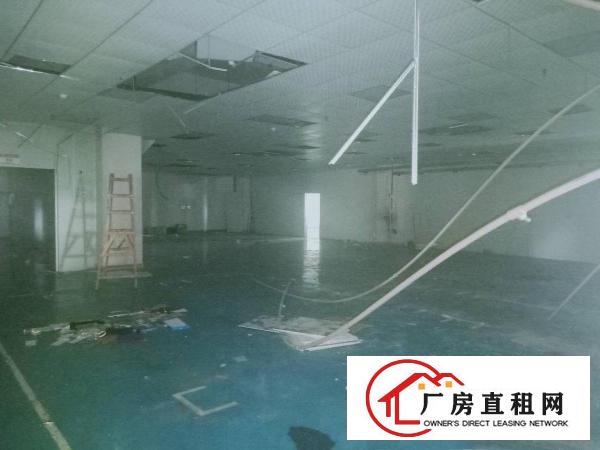  虎门靠近长安空出5楼1800平方实际面积厂房出租
