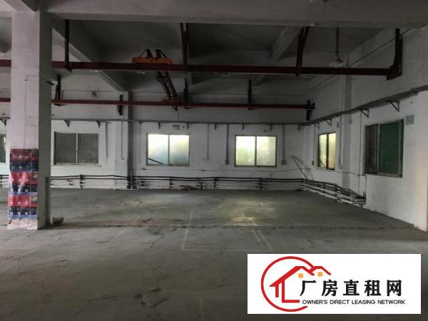  出租！南栅沿江高速附近新出560平方带行车！