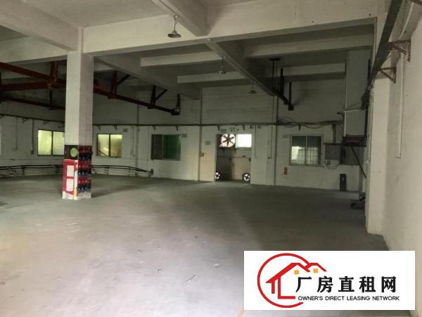  出租！南栅沿江高速附近新出560平方带行车！