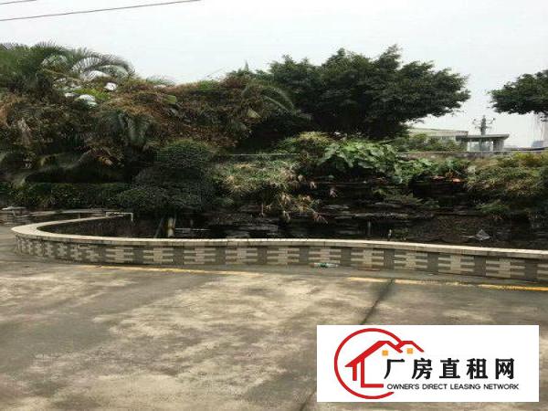  原房东直租！实际面积！4200平方豪华装修独院厂房出租啦！