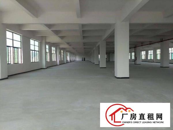  虎门新建全新重工业厂房房东直租