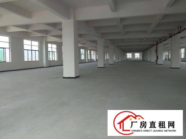  虎门新建全新重工业厂房房东直租