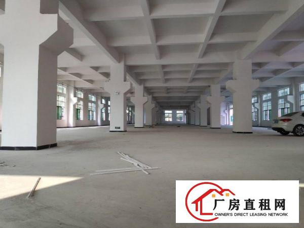  虎门新建全新重工业厂房房东直租