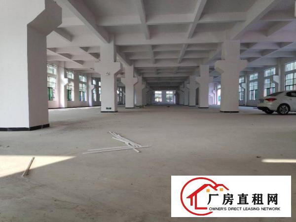  虎门新建全新重工业厂房房东直租