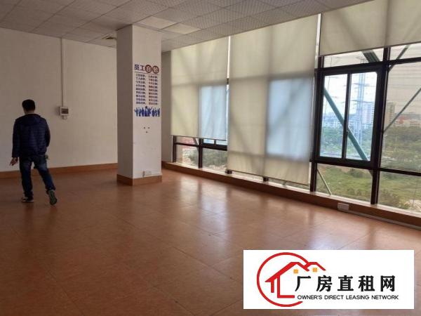  虎门白沙原房东独栋1至4层现成装修厂房出租10元