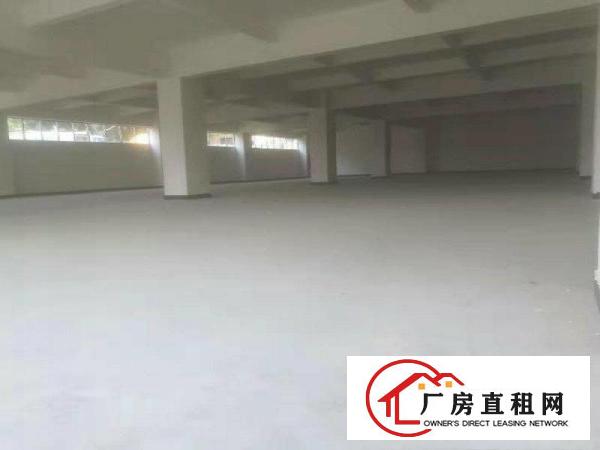  虎门赤岗，实用空间2400平，环境优美水电齐全