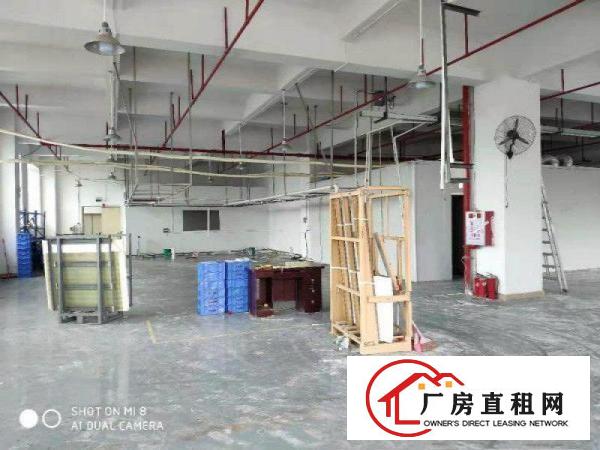  南栅15000平方仅租15元，带消防办公室适合注塑五金模具