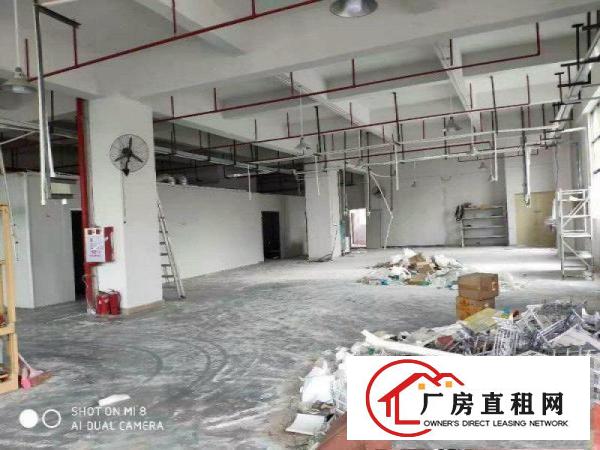  南栅15000平方仅租15元，带消防办公室适合注塑五金模具