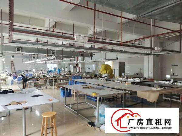  虎门白沙工业区厂房3楼1200平出租豪华办公室装修，
