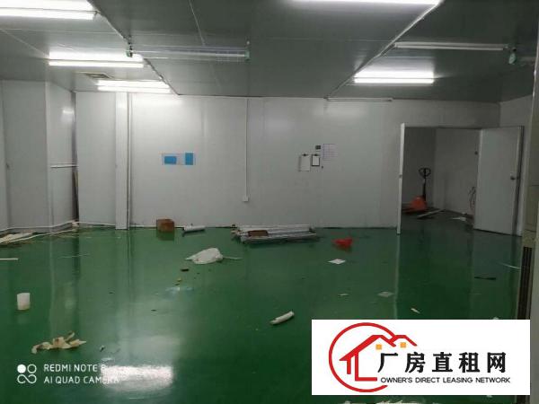  虎门标准厂房出租2000平！带环评精装修出租