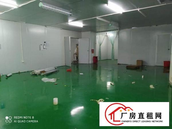  虎门标准厂房出租2000平！带环评精装修出租