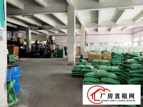  虎门怀德独门独院一楼800平招租可办环评水电齐全