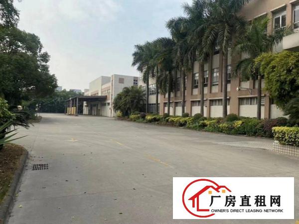  红本厂房出租！主干道旁边实在好盘25000平带消防证