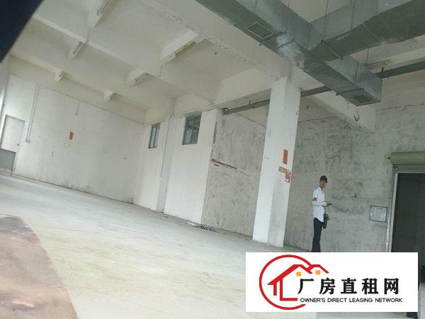  虎门龙眼，实用面积1200以上，水电到位带宿舍办公室价格可谈