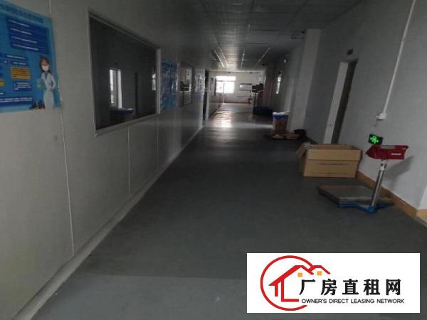  虎门新出！无尘车间厂房1500平方米出租