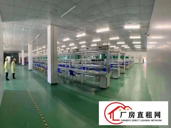  虎门公园附近空出二楼2000平方带装修厂房出租