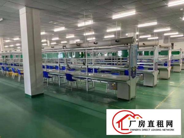  虎门公园附近空出二楼2000平方带装修厂房出租