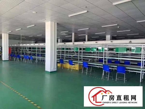  虎门公园附近空出二楼2000平方带装修厂房出租