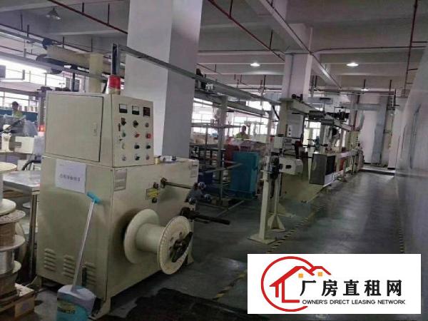  免租期长虎门怀德新空出3楼1200平方厂房带装修无公摊