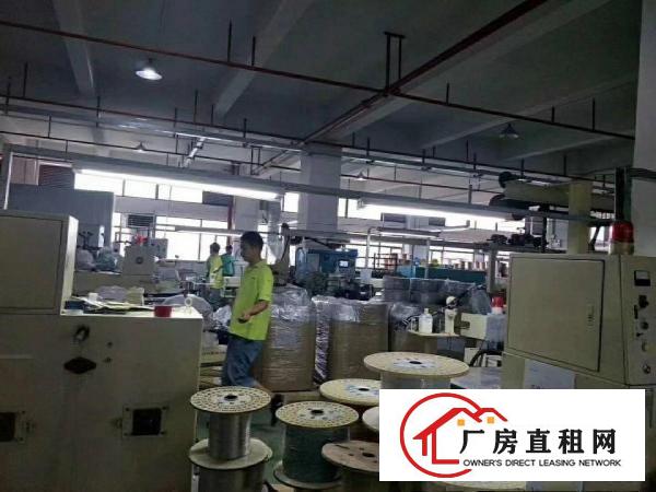  免租期长虎门怀德新空出3楼1200平方厂房带装修无公摊