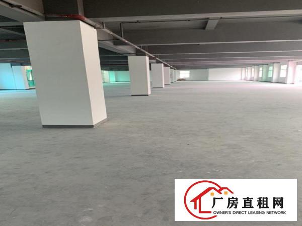  虎门沿江高速和广深高速之间免租期12个月的厂房出租啦