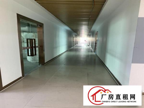 虎门沿江高速和广深高速之间免租期12个月的厂房出租啦
