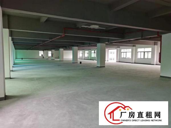  虎门沿江高速和广深高速之间免租期12个月的厂房出租啦