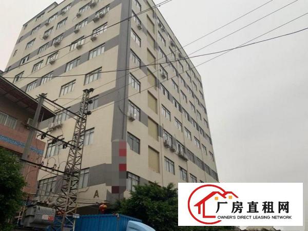  赤岗环管快速边新出精装修1500平厂房两个全新货梯