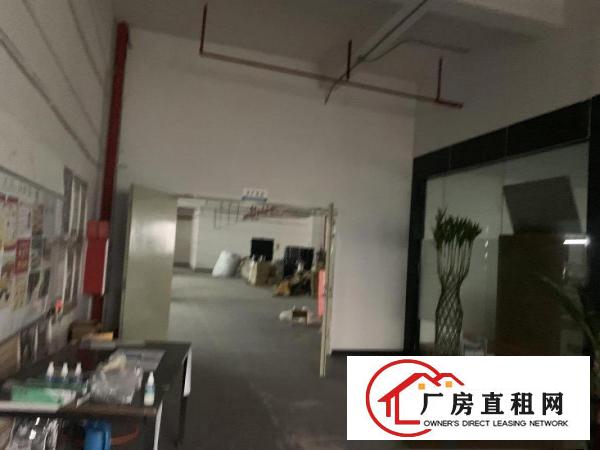  赤岗环管快速边新出精装修1500平厂房两个全新货梯