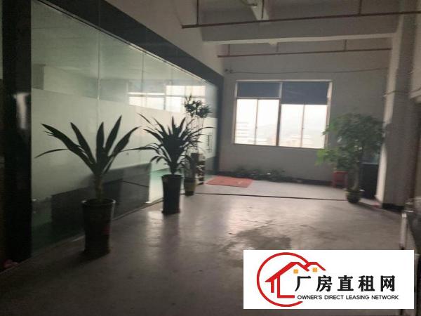  赤岗环管快速边新出精装修1500平厂房两个全新货梯