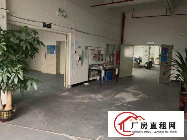  赤岗环管快速边新出精装修1500平厂房两个全新货梯
