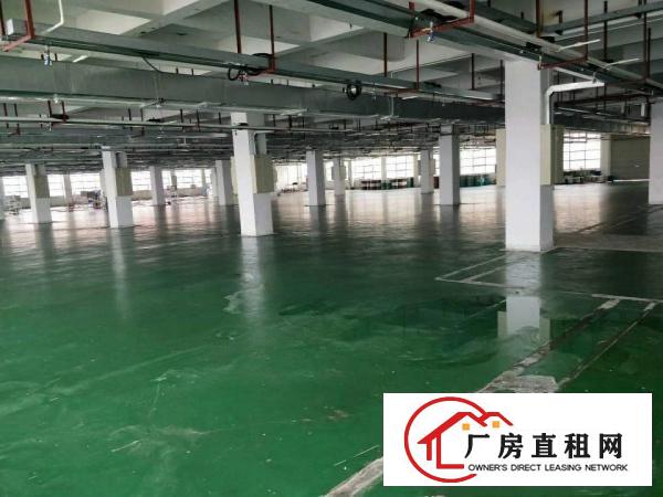  虎门南栅新出原房东独门独院6000平方厂房，可分租
