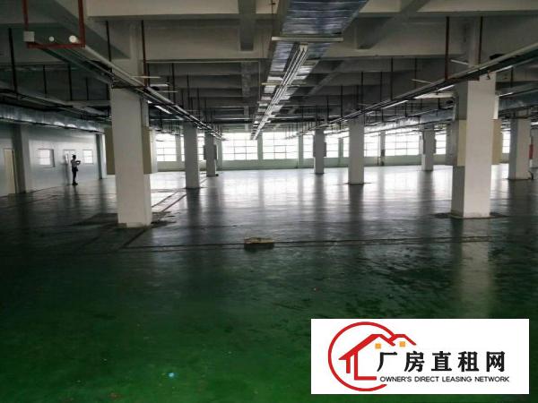  虎门南栅新出原房东独门独院6000平方厂房，可分租