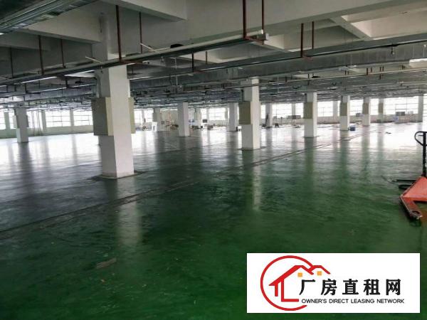  虎门南栅新出原房东独门独院6000平方厂房，可分租