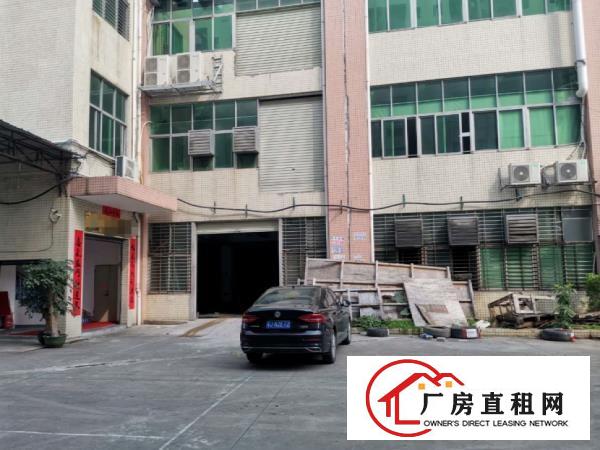  虎门龙眼工原房东标准一楼整层1280平方出租门口空地2700
