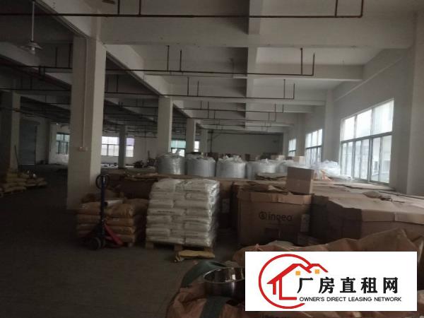  虎门白沙原房东标准一楼整层1280平方出租门口空地2700