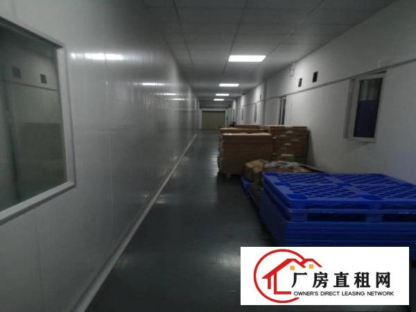  笋！可办环评！8500平豪华装修独院厂房出租啦！