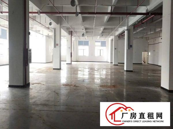  虎门雅瑶高新产业园1600平厂房出租