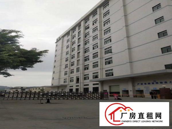 虎门雅瑶高新产业园1600平厂房出租