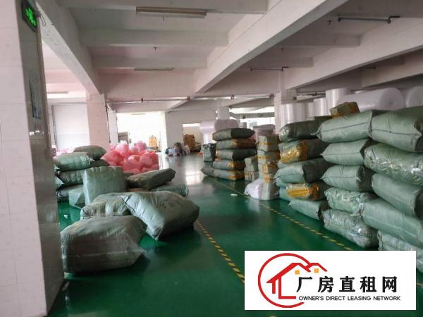  树田即将空出带精装修厂房，2楼1200平方可分租2家600平