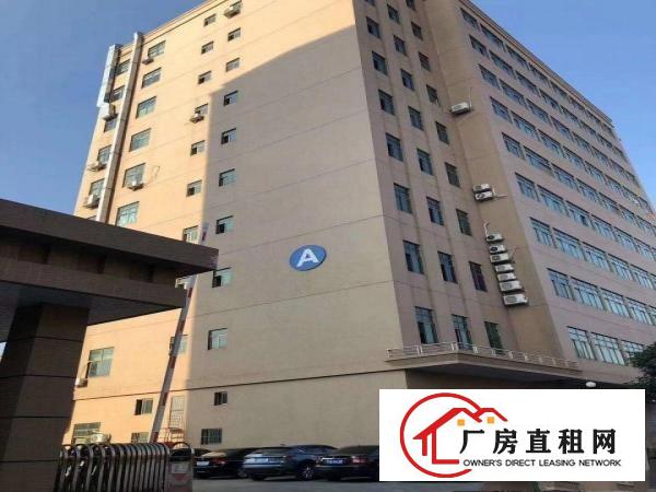  虎门南栅楼上1500平带办公室装修厂房出租！