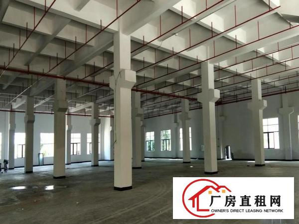 虎门沿江高速花园式厂房3万平招租免租6个月大小面积可分租