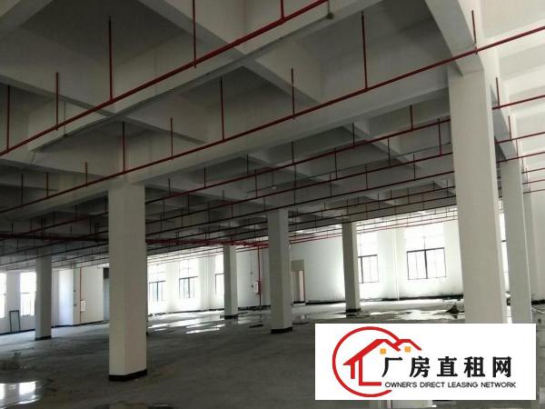  虎门沿江高速花园式厂房3万平招租免租6个月大小面积可分租