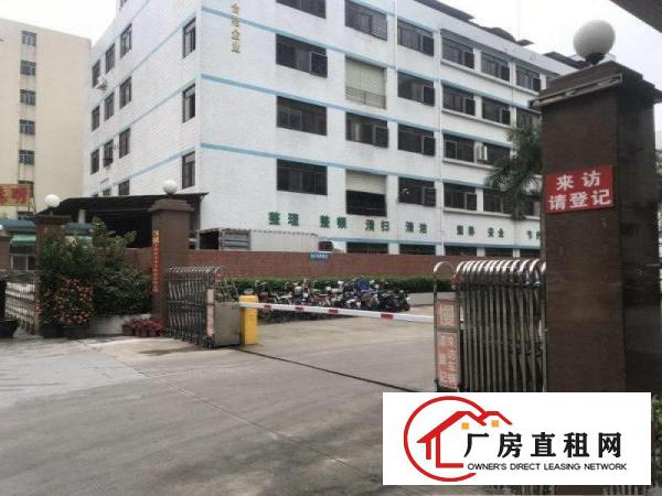  免租期3个月精装修楼上900平实际面际出租虎门