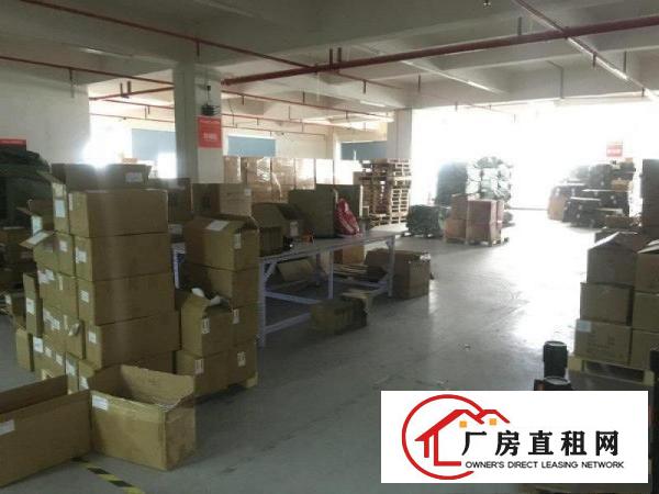  免租期3个月精装修楼上900平实际面际出租虎门