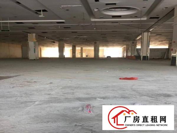  独院独院虎门白沙独院厂房空地大停车位多拖头可进